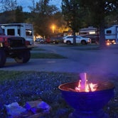Review photo of Davy Crockett Birthplace State Park Campground by Michael S., June 2, 2021