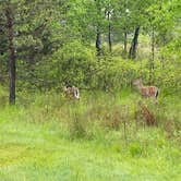 Review photo of Blackwater Falls State Park Campground by Kevin E., June 2, 2021