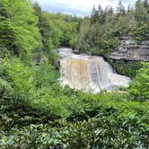 Review photo of Blackwater Falls State Park Campground by Kevin E., June 2, 2021