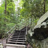 Review photo of Blackwater Falls State Park Campground by Kevin E., June 2, 2021