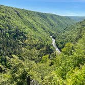 Review photo of Blackwater Falls State Park Campground by Kevin E., June 2, 2021