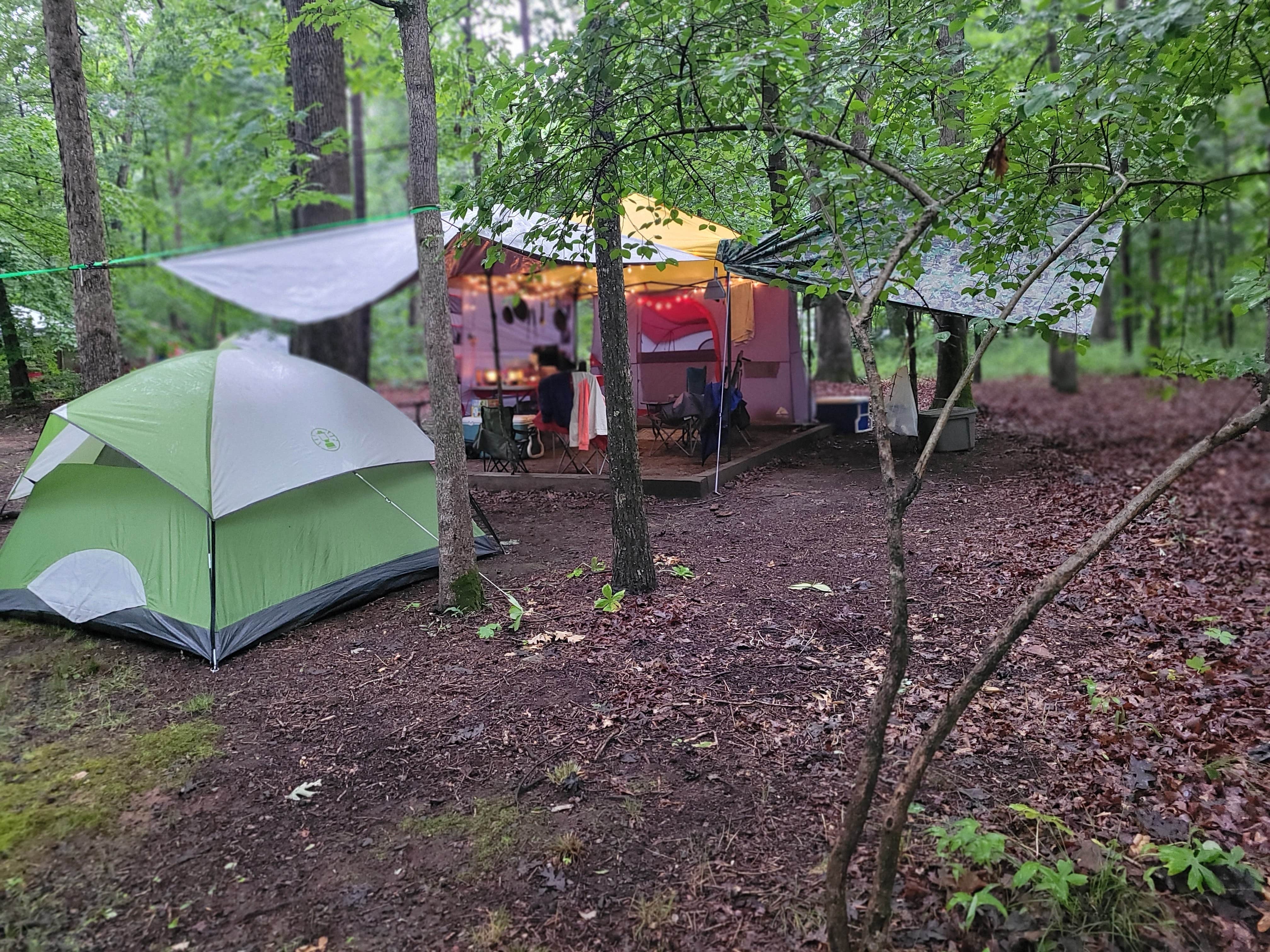 Yvonne B.'s photo at Bull Run Regional Park near Indian Head, MD