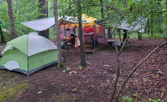 Yvonne B.'s photo at Bull Run Regional Park near Sterling, VA