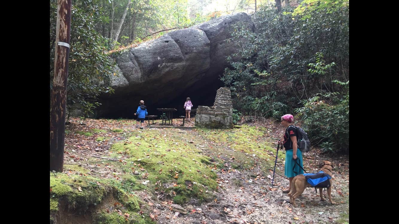 Jess B.'s photo of camping with pets at Kingdom Come State Park Campground near Lynch, KY