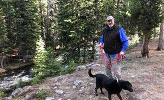 Mac M.'s photo of camping with pets at South Fork (wyoming) near Bighorn Canyon National Recreation Area