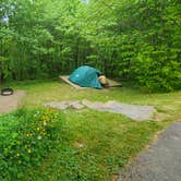 Review photo of Balsam Mountain Campground — Great Smoky Mountains National Park by Melissa W., June 2, 2021