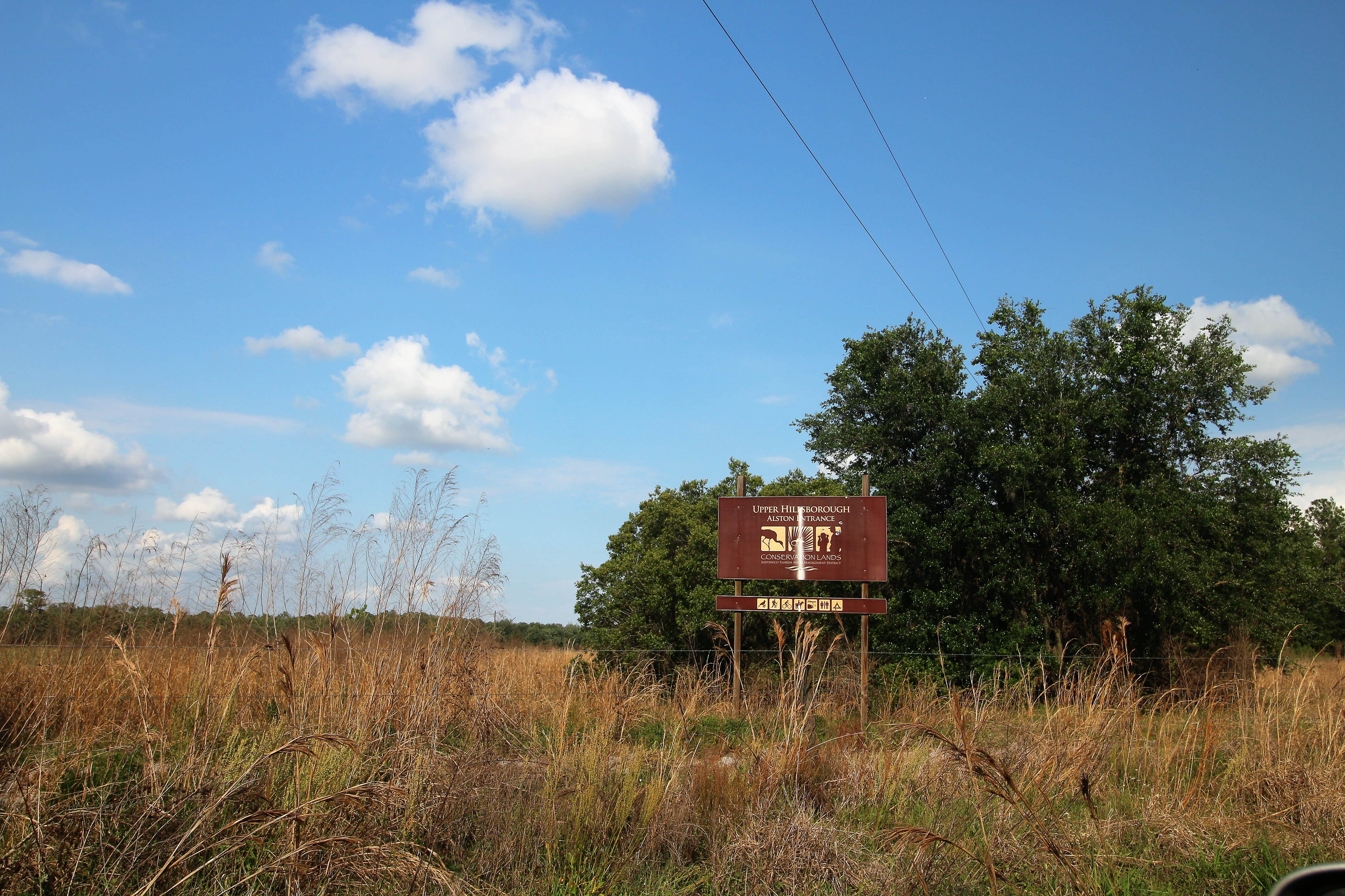 Camper submitted image from Upper Hillsborough Preserve — Alston Tract - 4