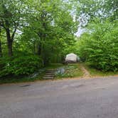 Review photo of Balsam Mountain Campground — Great Smoky Mountains National Park by Melissa W., June 2, 2021