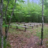 Review photo of Balsam Mountain Campground — Great Smoky Mountains National Park by Melissa W., June 2, 2021