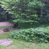 Review photo of Balsam Mountain Campground — Great Smoky Mountains National Park by Melissa W., June 2, 2021