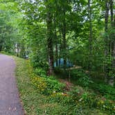 Review photo of Balsam Mountain Campground — Great Smoky Mountains National Park by Melissa W., June 2, 2021