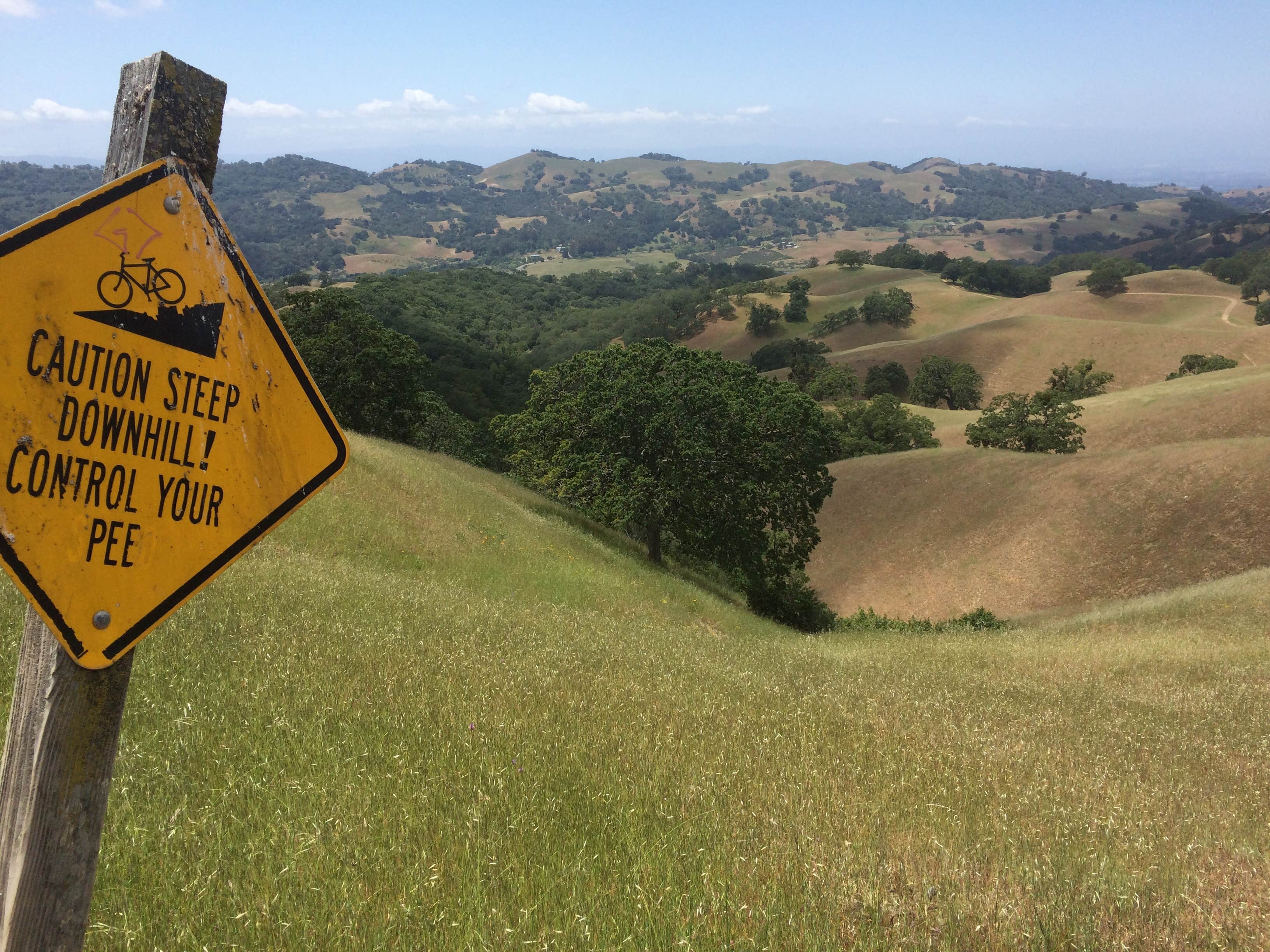 Camper submitted image from Joseph D Grant County Park - Horse Camp - 2