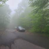 Review photo of Balsam Mountain Campground — Great Smoky Mountains National Park by Melissa W., June 2, 2021