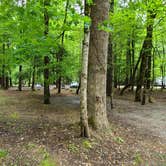 Review photo of Cataloochee Campground — Great Smoky Mountains National Park by Melissa W., June 2, 2021