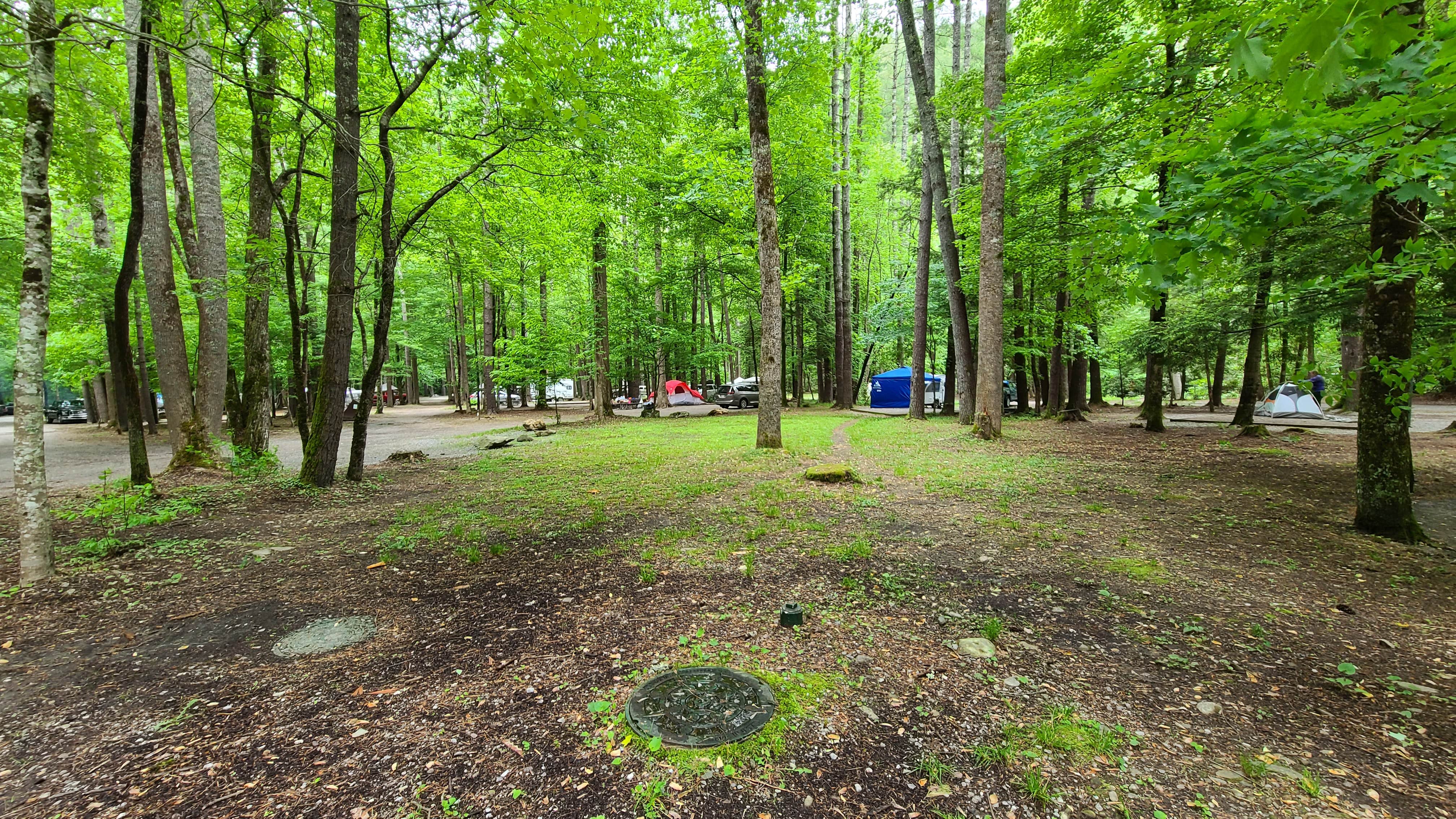 Melissa W.'s photo at Cataloochee Campground — Great Smoky Mountains National Park near Maggie Valley, NC