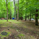 Review photo of Cataloochee Campground — Great Smoky Mountains National Park by Melissa W., June 2, 2021