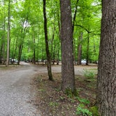 Review photo of Cataloochee Campground — Great Smoky Mountains National Park by Melissa W., June 2, 2021