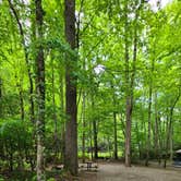 Review photo of Cataloochee Campground — Great Smoky Mountains National Park by Melissa W., June 2, 2021