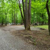 Review photo of Cataloochee Campground — Great Smoky Mountains National Park by Melissa W., June 2, 2021