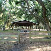 Review photo of Upper Hillsborough Preserve — Alston Tract by Elliott B., June 6, 2018