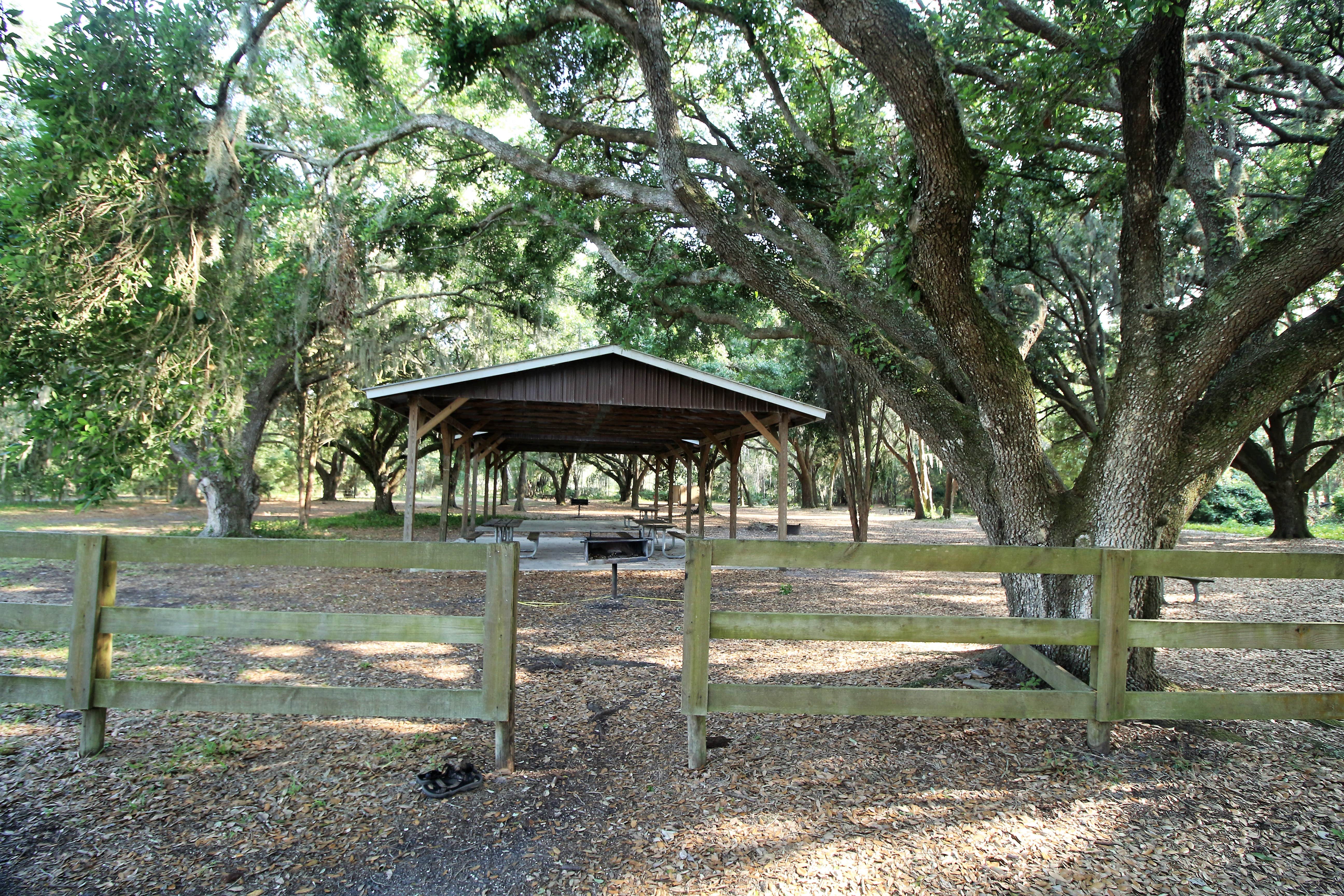 Camper submitted image from Upper Hillsborough Preserve — Alston Tract - 3