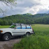 Review photo of Cataloochee Campground — Great Smoky Mountains National Park by Melissa W., June 2, 2021