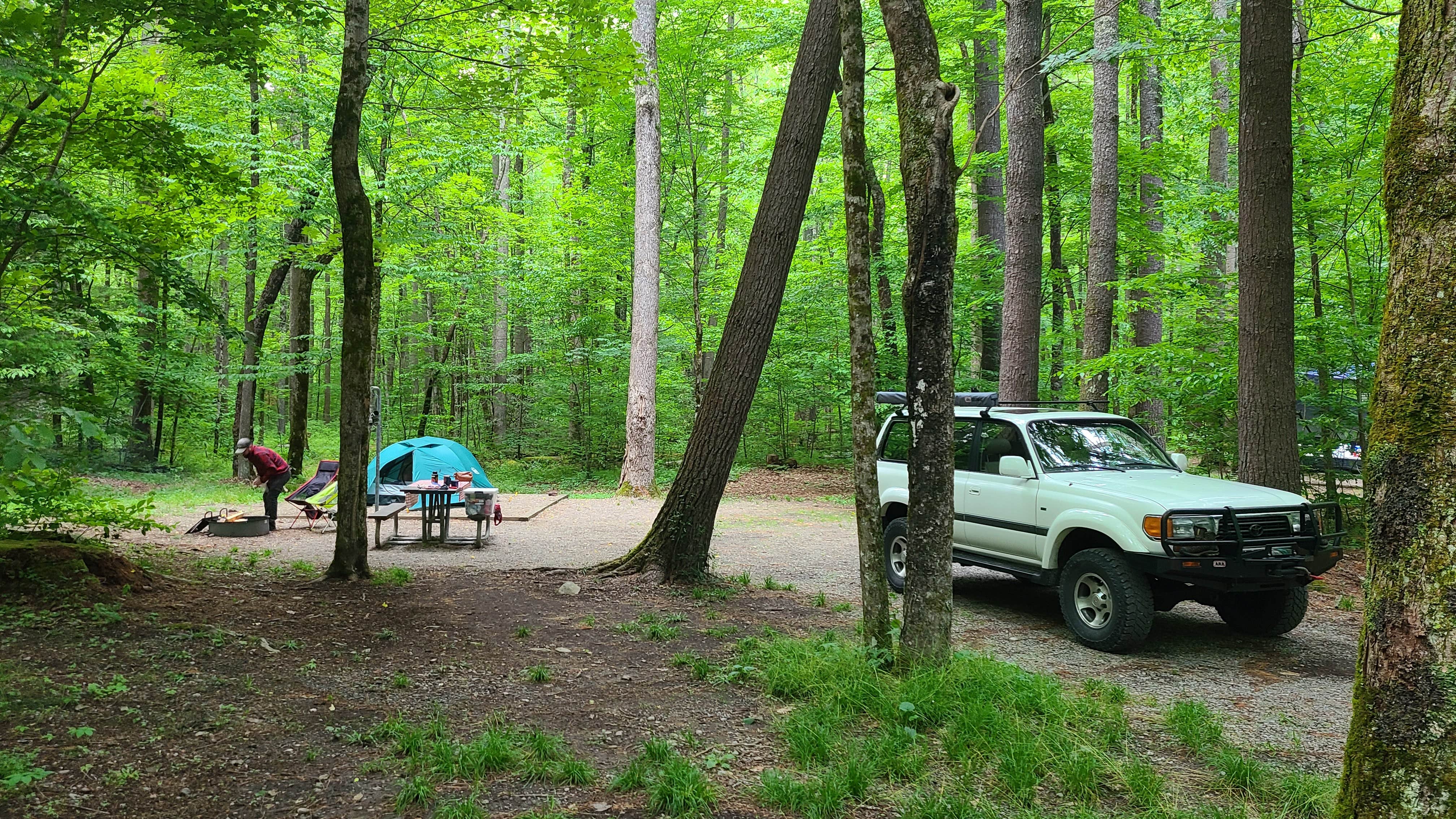 Melissa W.'s photo at Cataloochee Campground — Great Smoky Mountains National Park near Lake Junaluska, NC