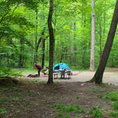 Review photo of Cataloochee Campground — Great Smoky Mountains National Park by Melissa W., June 2, 2021