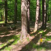 Review photo of Cataloochee Campground — Great Smoky Mountains National Park by Melissa W., June 2, 2021