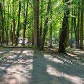 Review photo of Cataloochee Campground — Great Smoky Mountains National Park by Melissa W., June 2, 2021