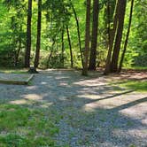 Review photo of Cataloochee Campground — Great Smoky Mountains National Park by Melissa W., June 2, 2021