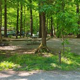 Review photo of Cataloochee Campground — Great Smoky Mountains National Park by Melissa W., June 2, 2021