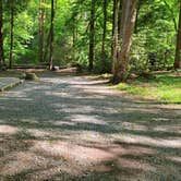 Review photo of Cataloochee Campground — Great Smoky Mountains National Park by Melissa W., June 2, 2021