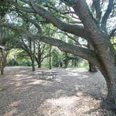 Review photo of Upper Hillsborough Preserve — Alston Tract by Elliott B., June 6, 2018