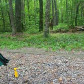 Review photo of Cataloochee Campground — Great Smoky Mountains National Park by Melissa W., June 2, 2021