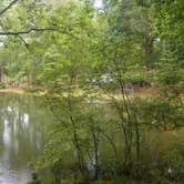 Review photo of Franklin D Roosevelt State Park Campground by Lynn A., June 2, 2021