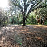 Review photo of Upper Hillsborough Preserve — Alston Tract by Elliott B., June 6, 2018