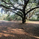 Review photo of Upper Hillsborough Preserve — Alston Tract by Elliott B., June 6, 2018