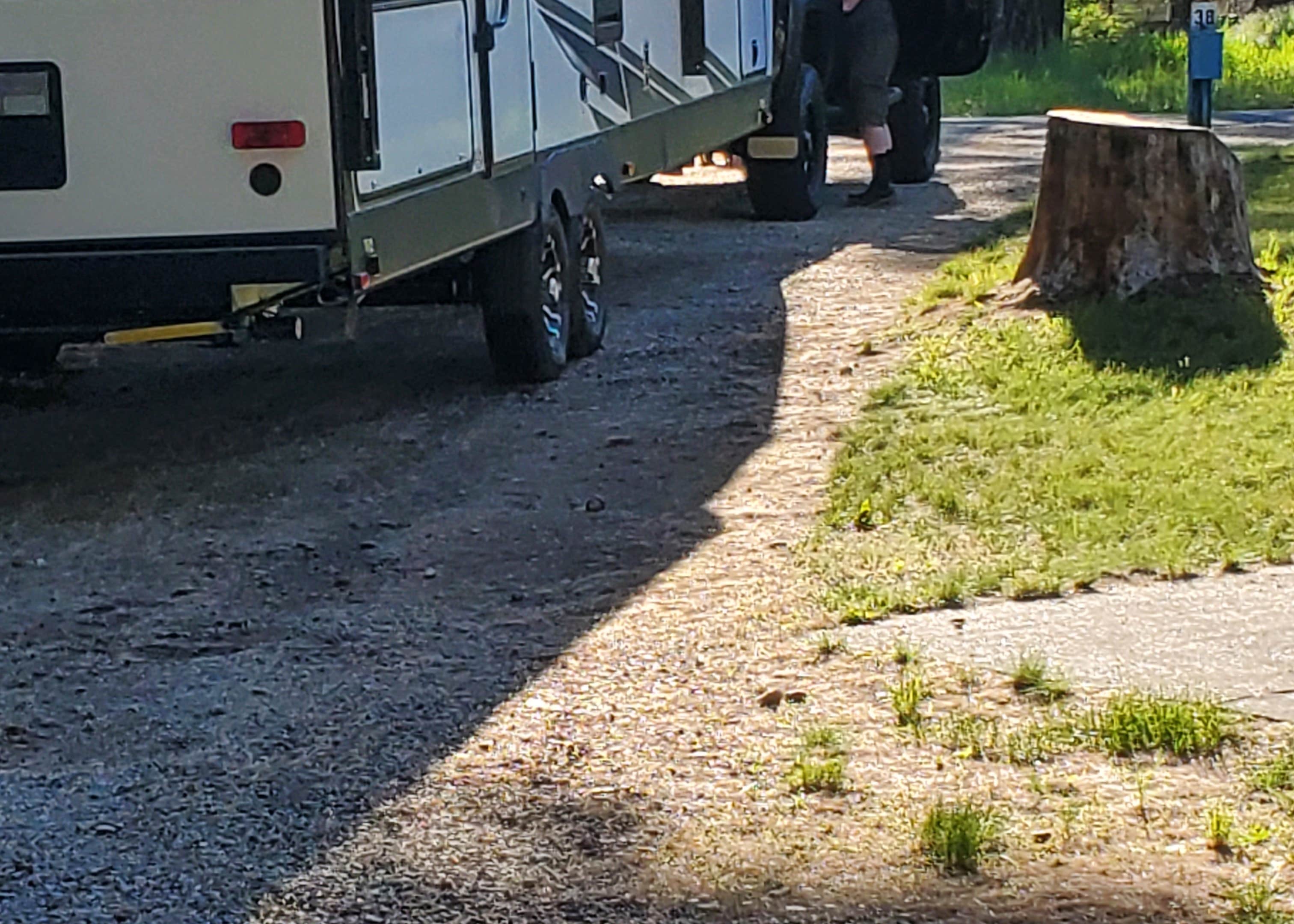 Woodland RV Park Camping The Dyrt