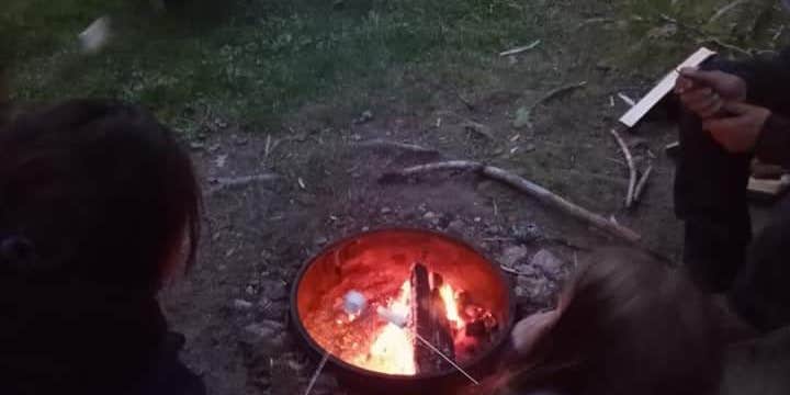 Camper submitted image from Shamrock Campground