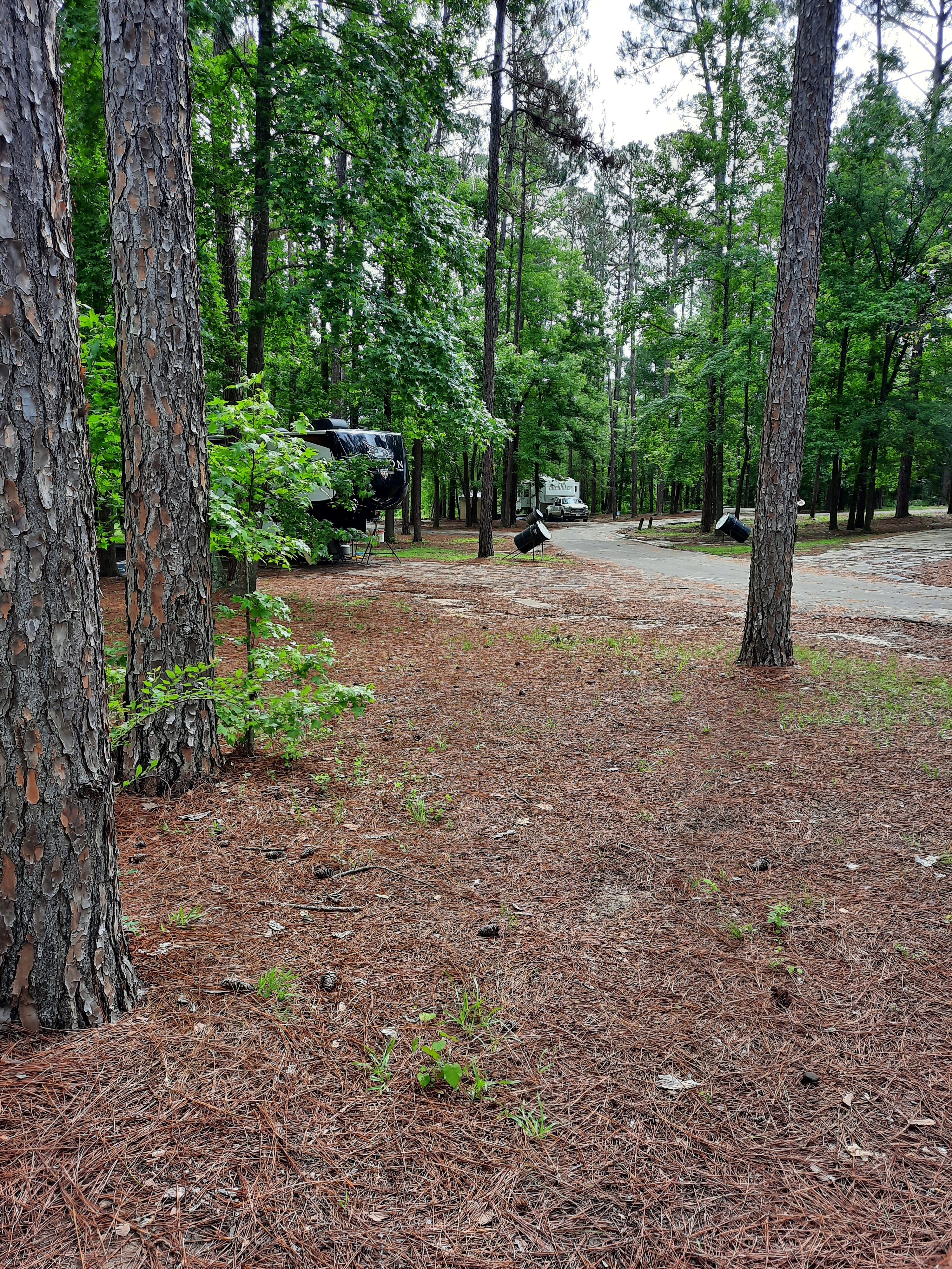 Camper submitted image from Lake Hawkins County RV Park - 5