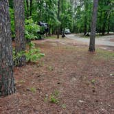 Review photo of Lake Hawkins County RV Park by George B., June 2, 2021