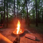 Review photo of Franklin D Roosevelt State Park Campground by Michael L., June 2, 2021