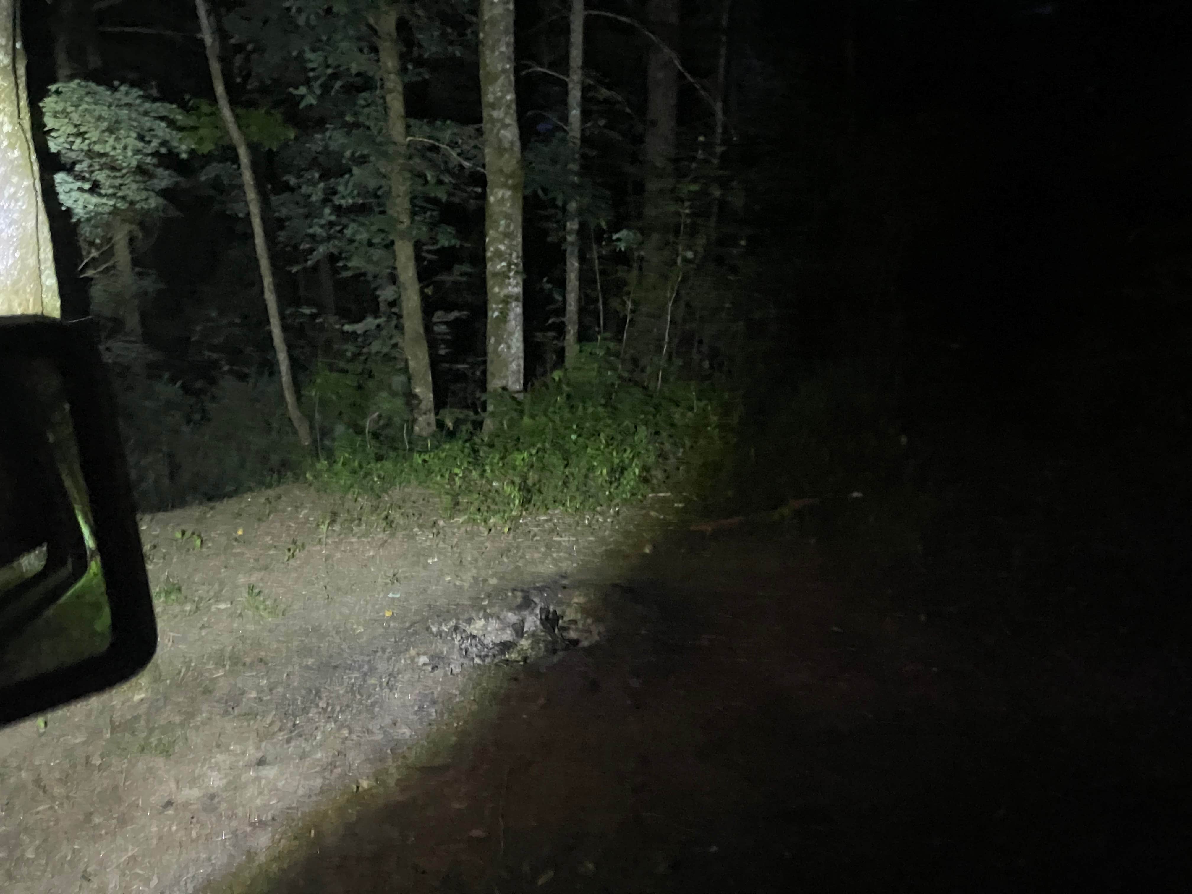 Camper-submitted photo at King Creek Primitive Campsites near Long Creek, SC