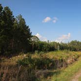 Review photo of Upper Hillsborough Preserve — Alston Tract by Elliott B., June 6, 2018