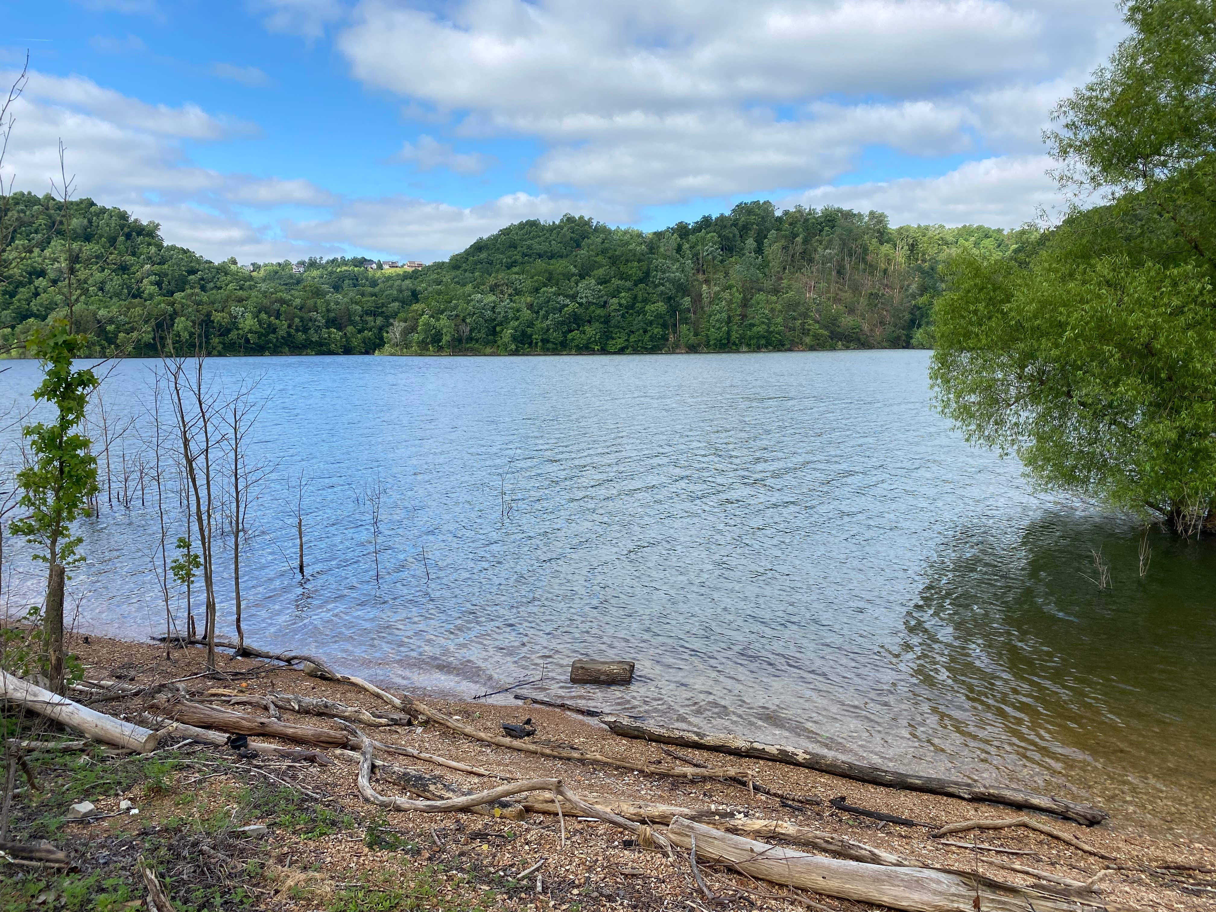 Ragland Bottom The Dyrt