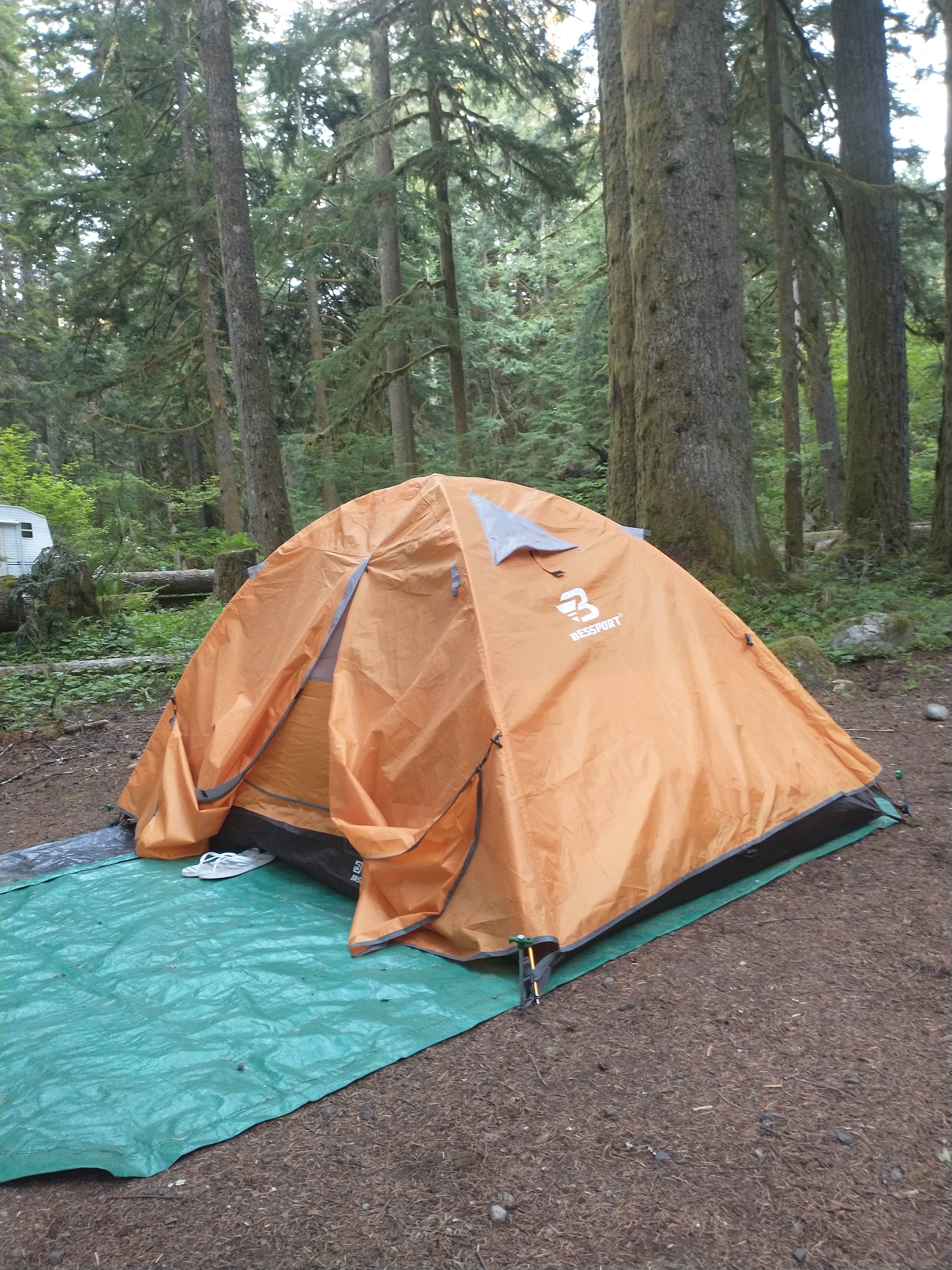 Lady L.'s photo at Mount Hood National Forest Camp Creek Campground near Welches, OR