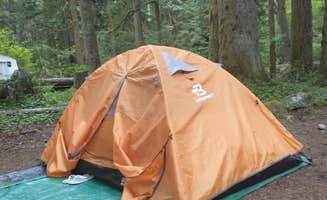 Lady L.'s photo at Mount Hood National Forest Camp Creek Campground near Brightwood, OR