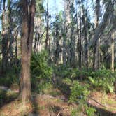 Review photo of Upper Hillsborough Preserve — Alston Tract by Elliott B., June 6, 2018