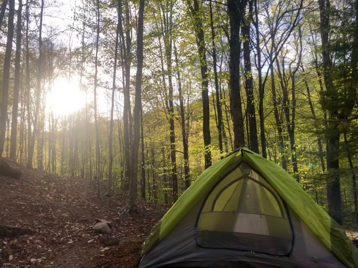 Samantha H.'s photo at Worlds End State Park Campground near Towanda, PA
